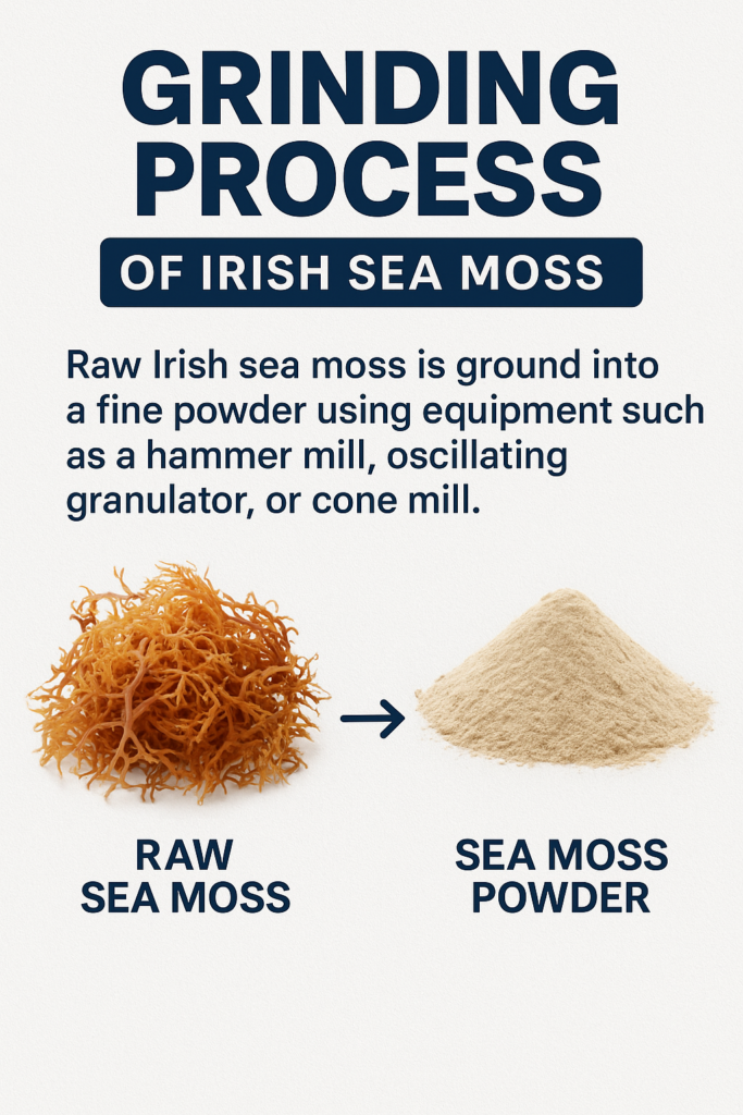 Sea Moss Grinding Mixing - Industrial Mixers